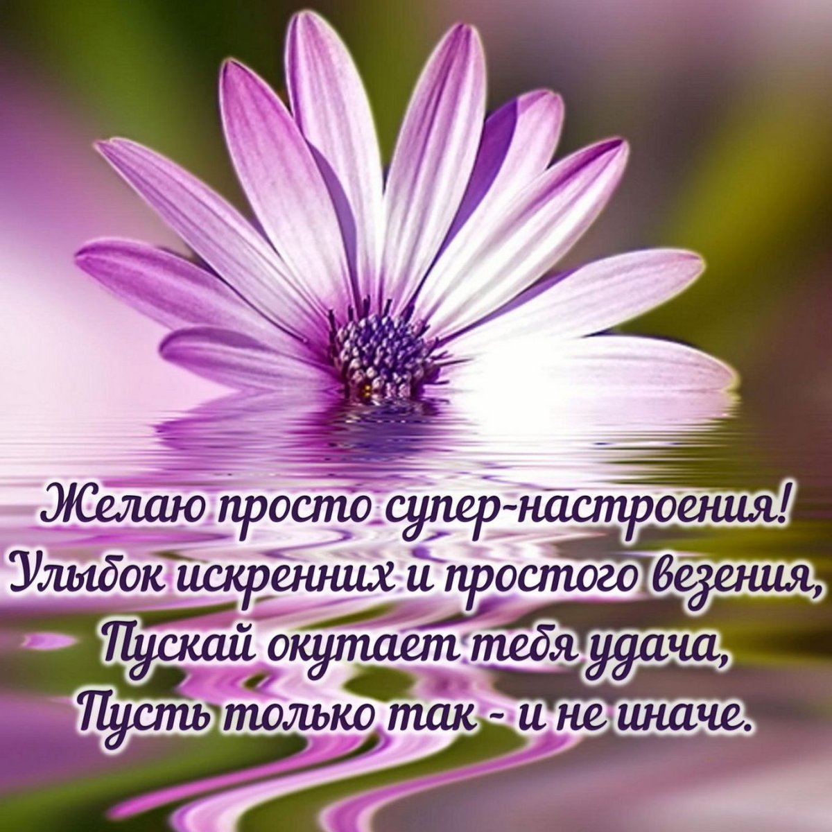 Открытки с пожеланиями хорошего дня