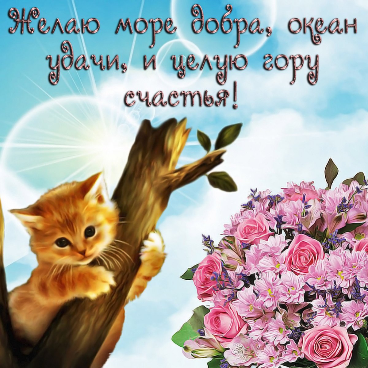 Доброго дня и хорошего настроения