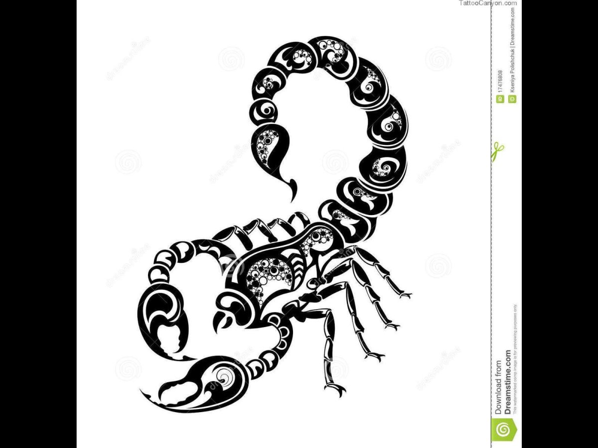 Тату Скорпион с фоном