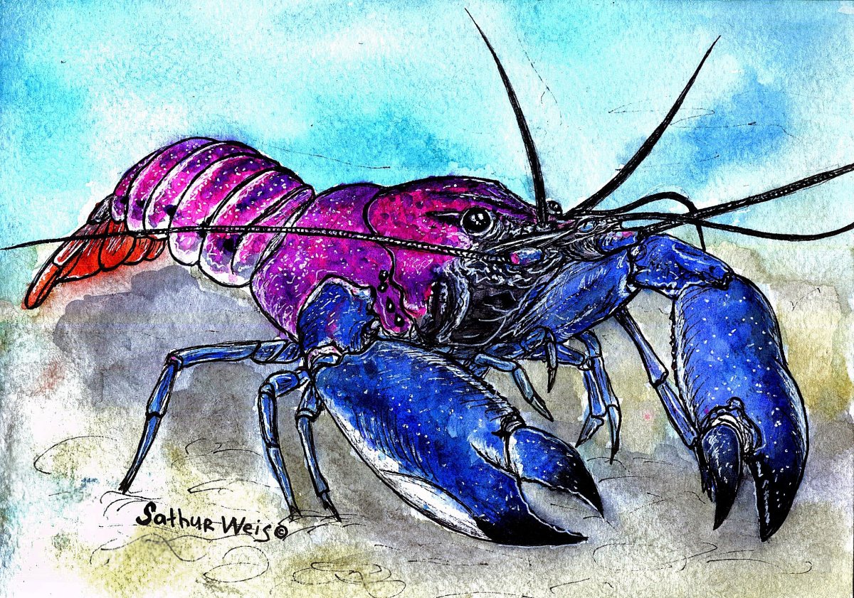 Неоновый краб арт