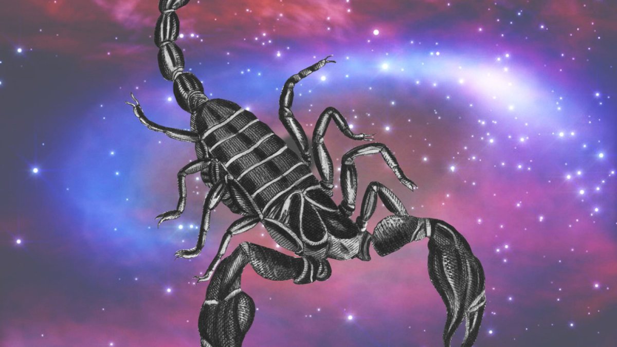 Знак зодиака Скорпион