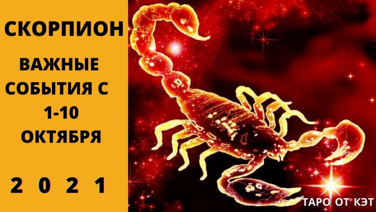 Скорпион знак