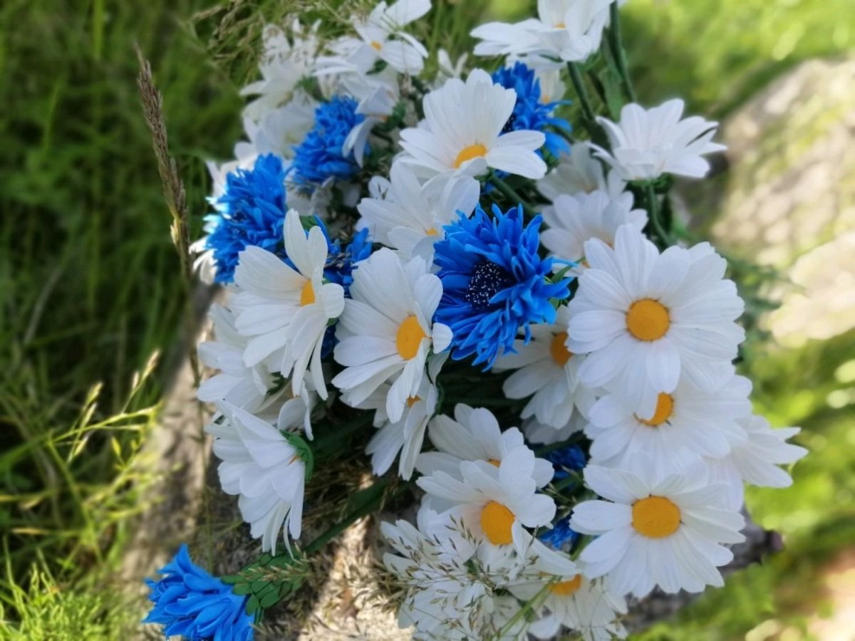 Эмменеггер букет Васильков