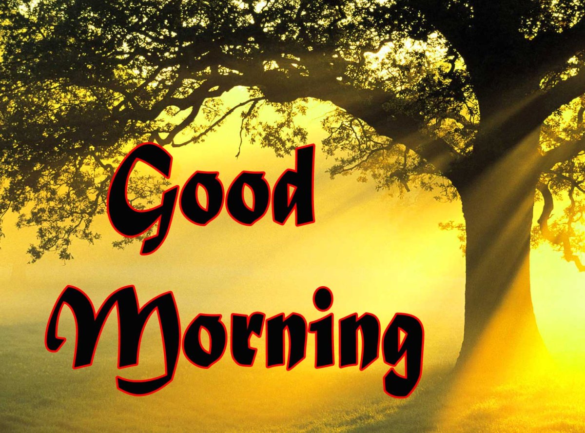 Утро в Париже