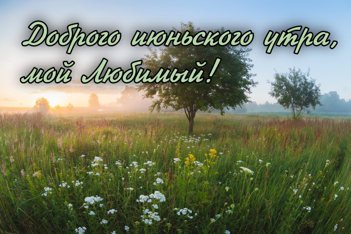 Доброе утро рассвет с надписью
