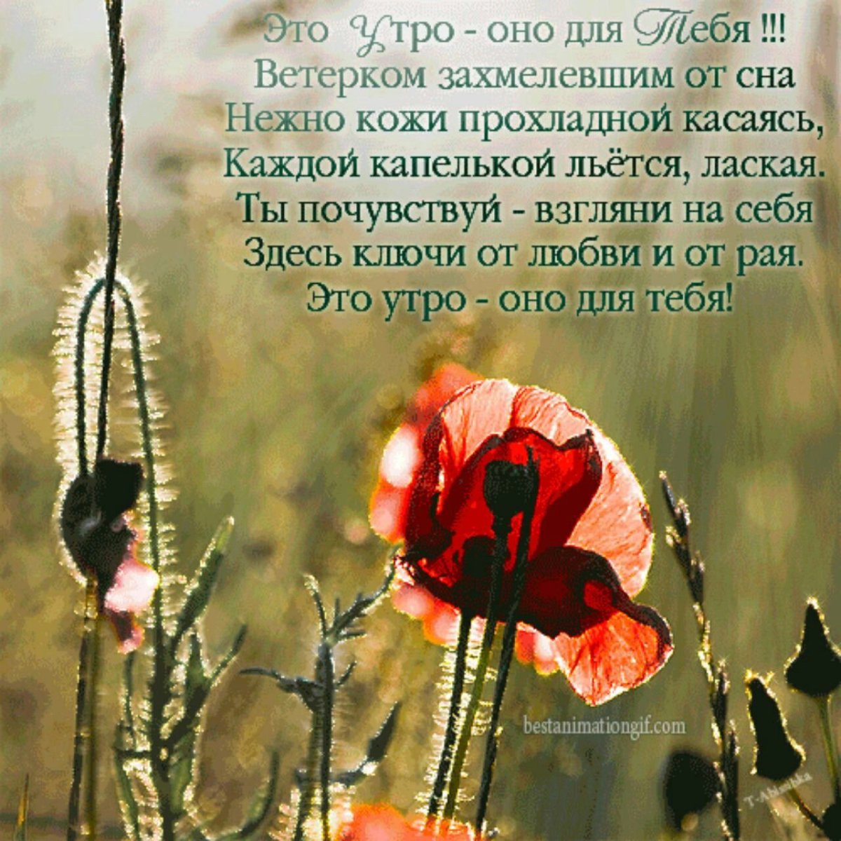 Доброе осеннее утро цитаты