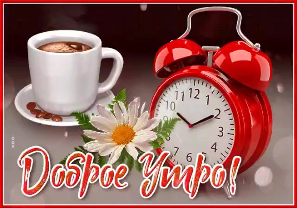 Доброе питерское утро