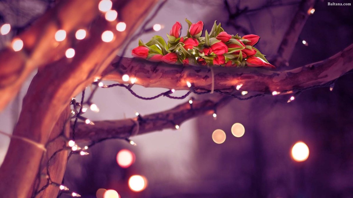 Уютная зима