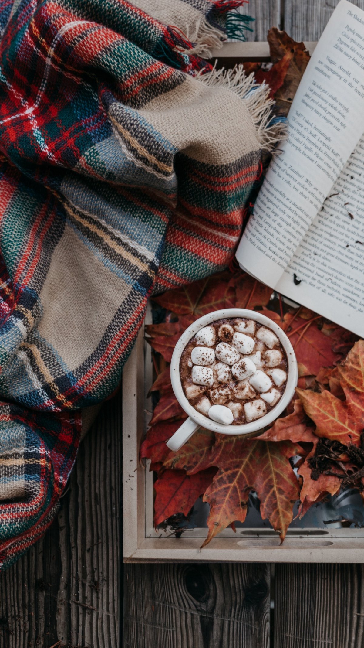 Уютная осень