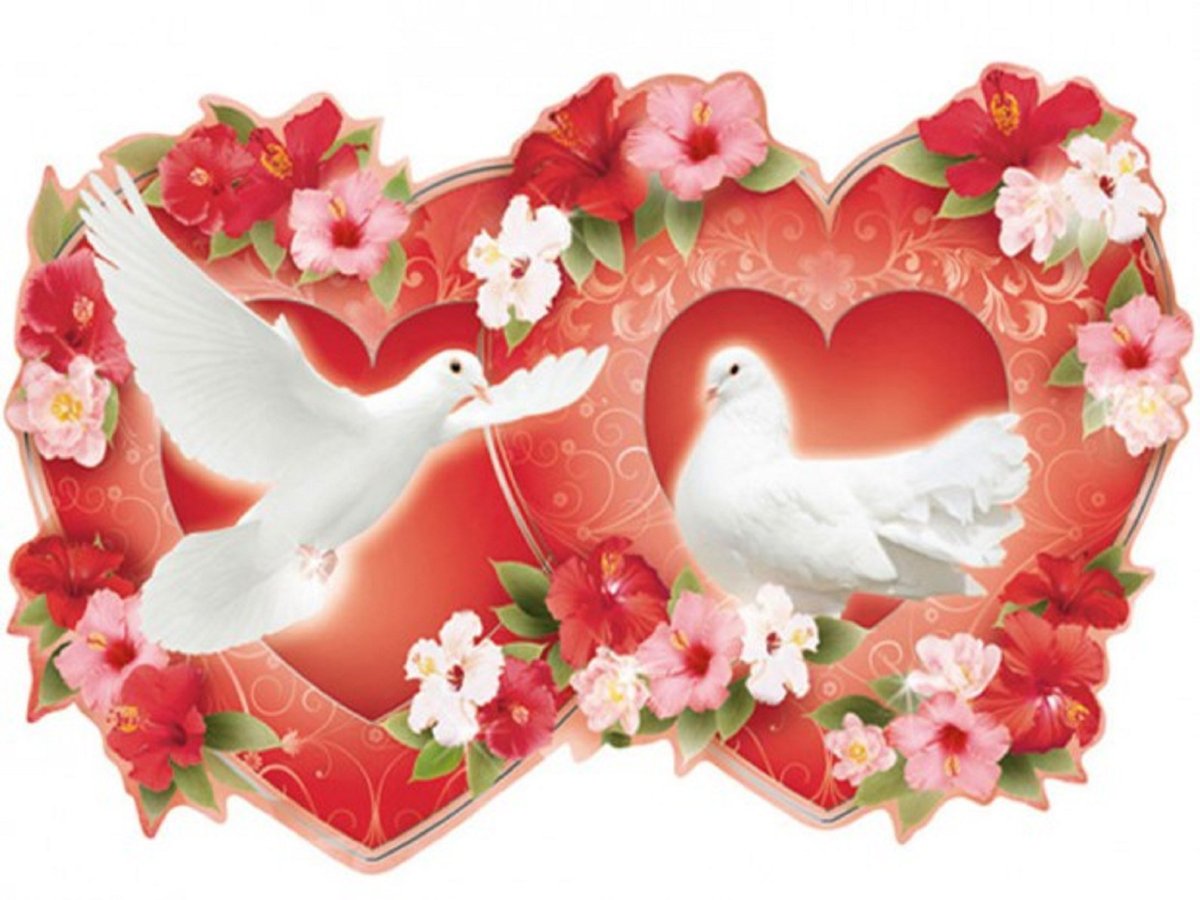 Свадебные голуби на прозрачном фоне