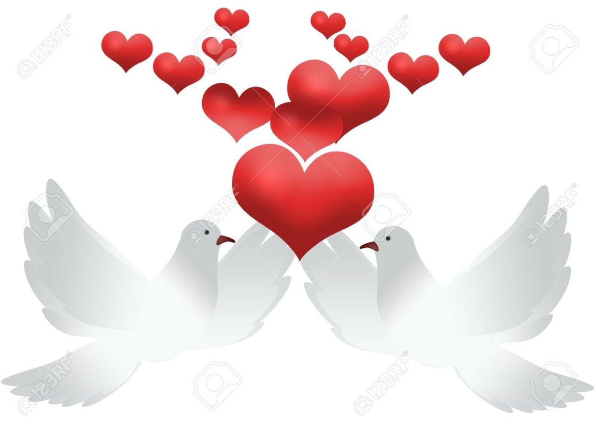 Белые голуби Свадебные