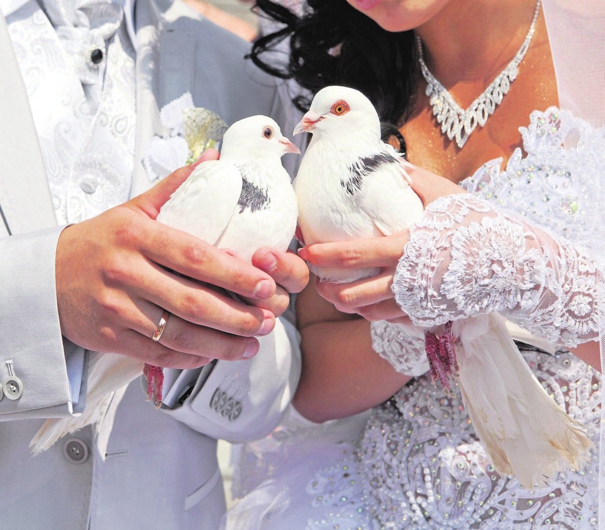 Голуби свадьба вектор