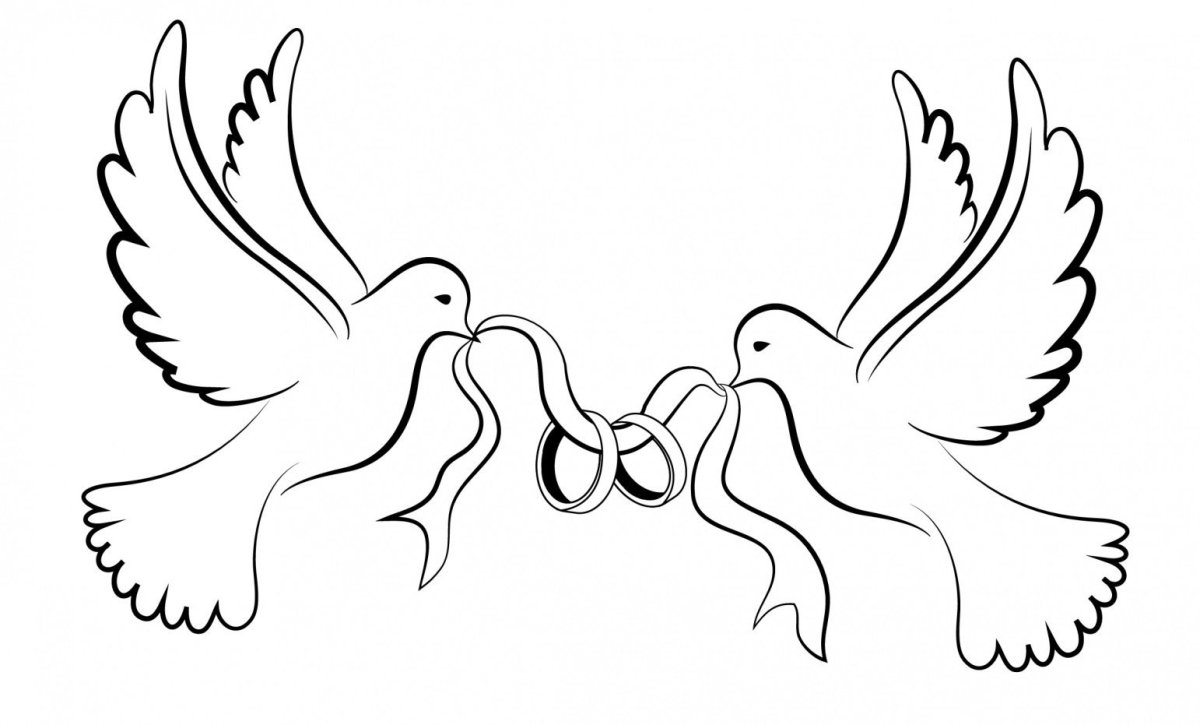 Свадебные голуби