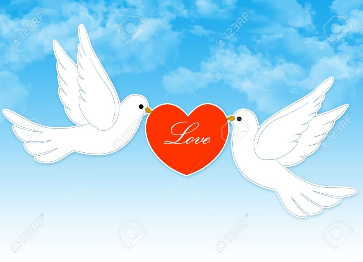 Голуби на свадьбу