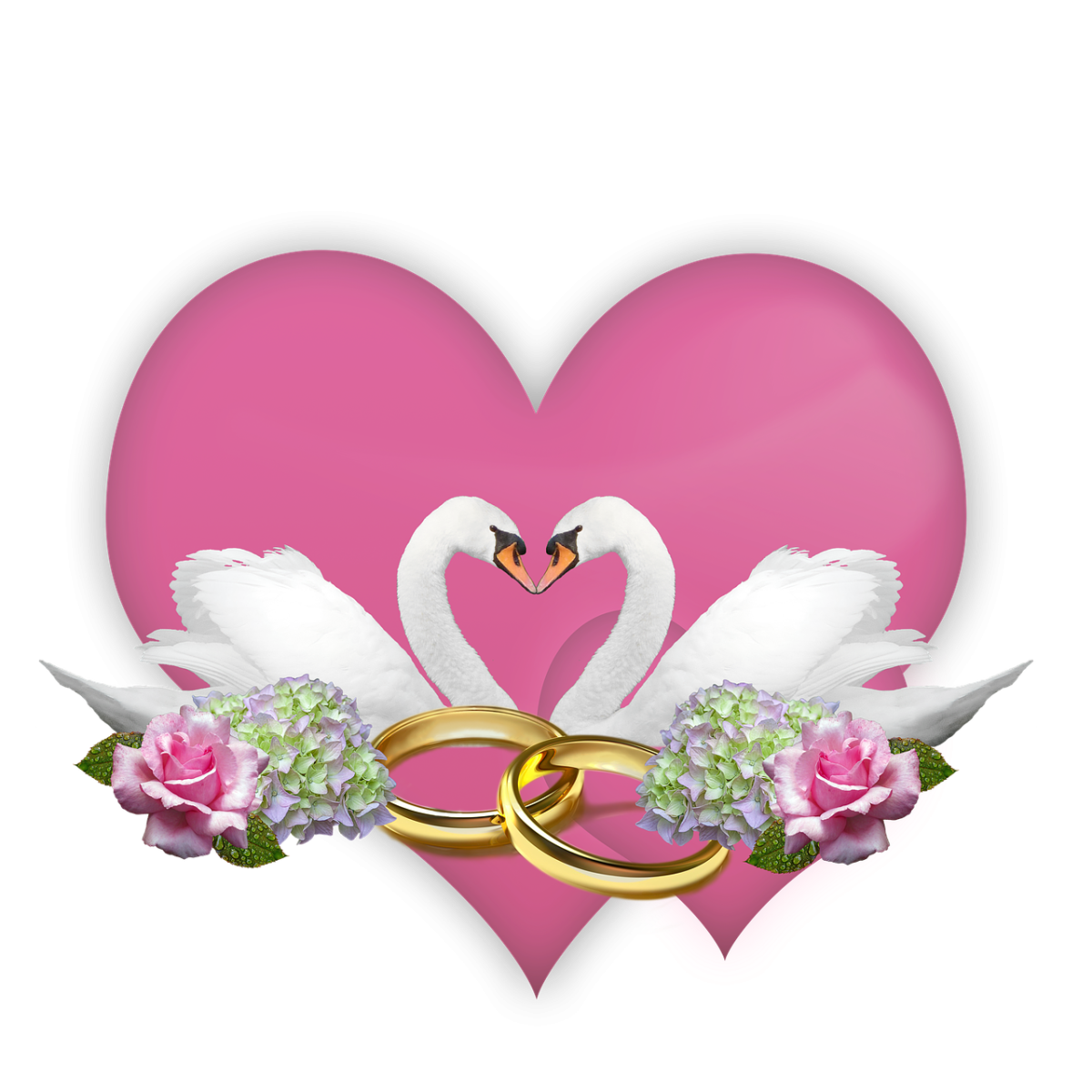 Свадебные голуби