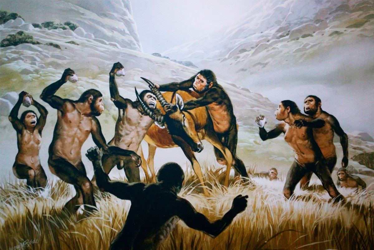 Хомо хабилис эпоха