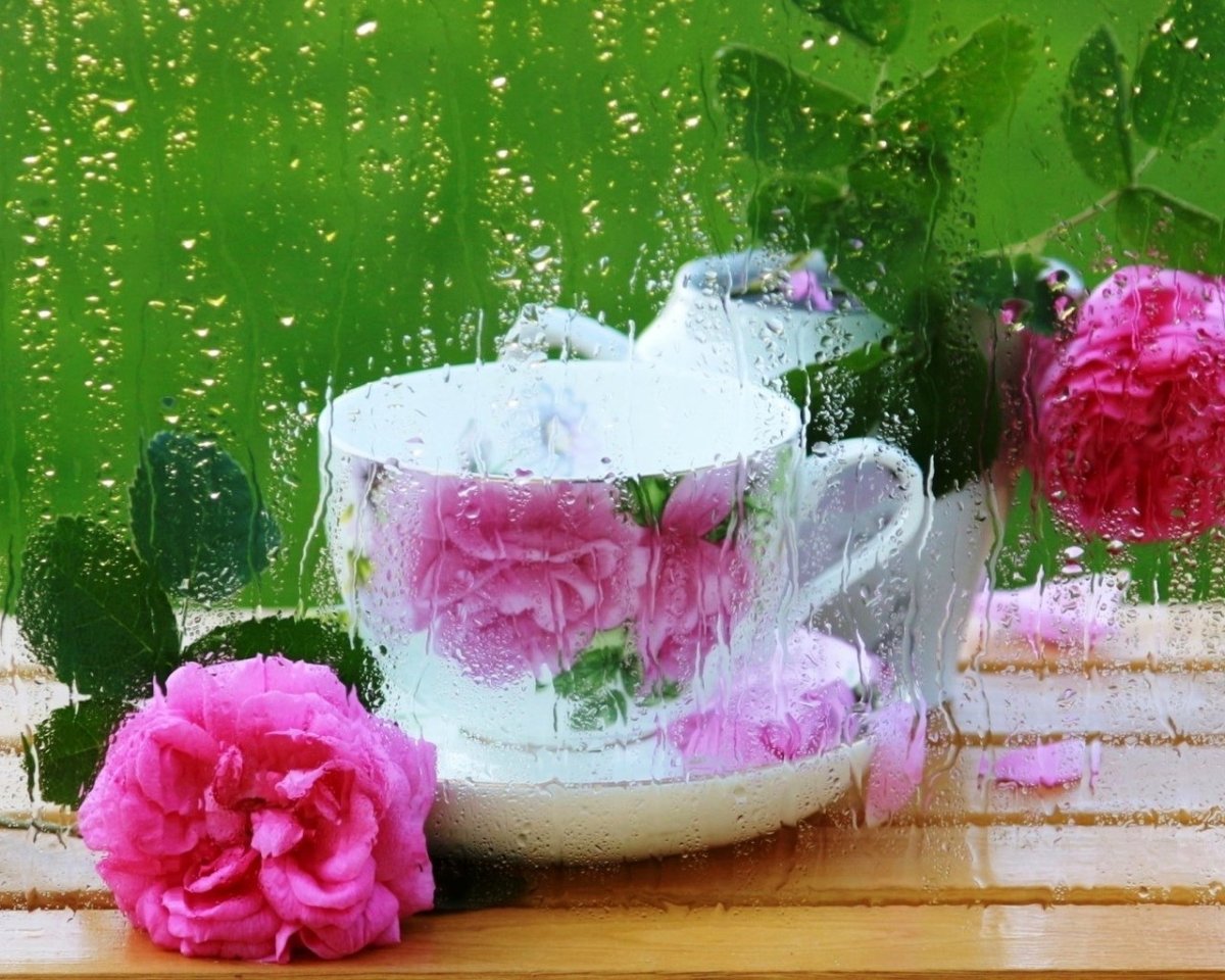 Доброе дождливое Весеннее утро