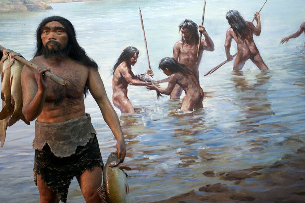 Хомо сапиенс охотники собиратели