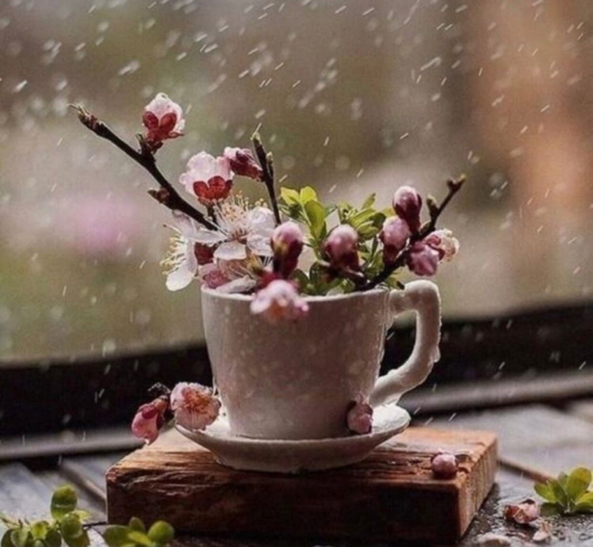 Доброе дождливое утро