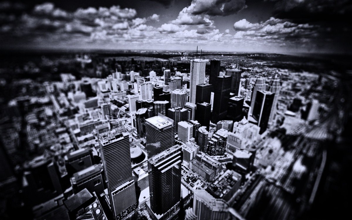 Черно белые обои