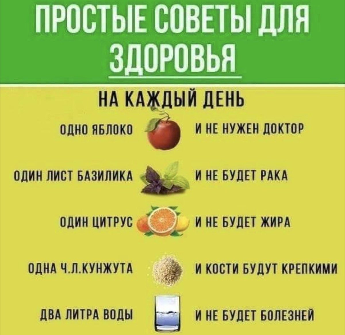 Полезные советы на каждый день