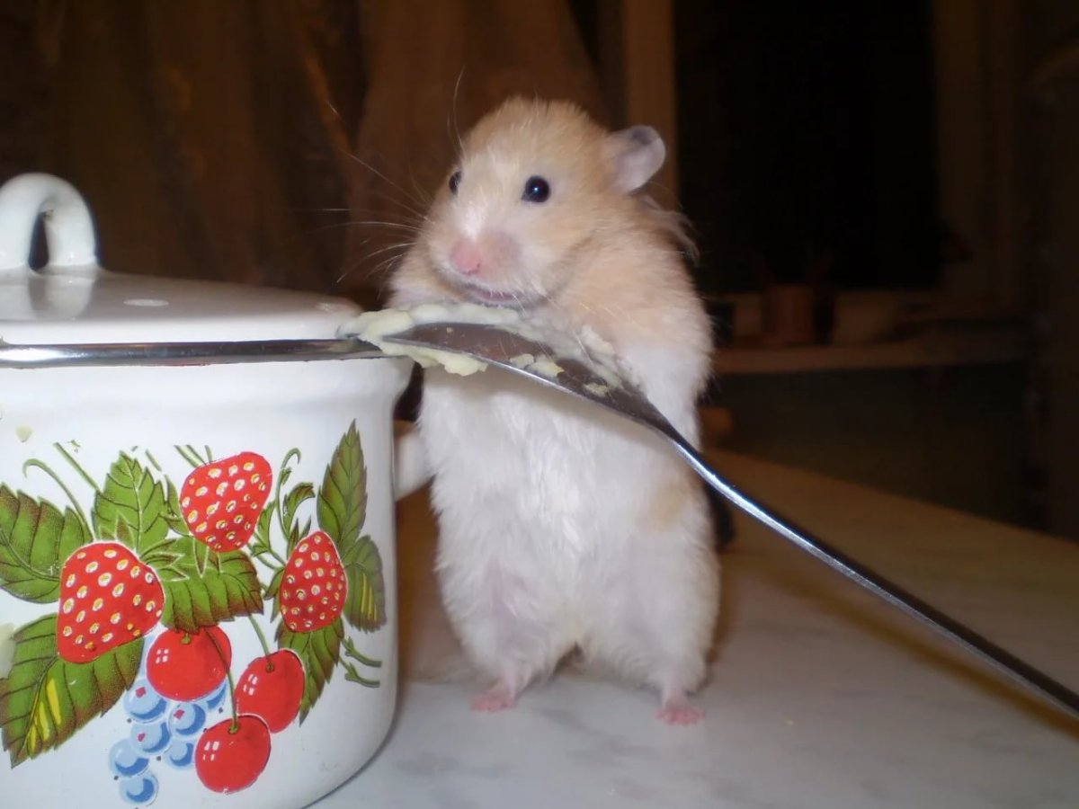 Смешной суп