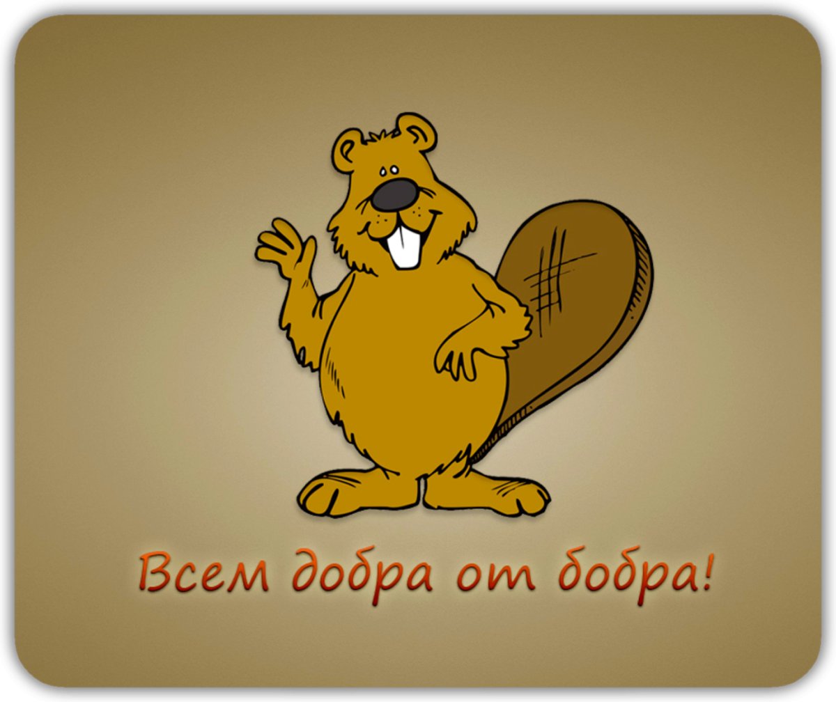 Бобер с добром