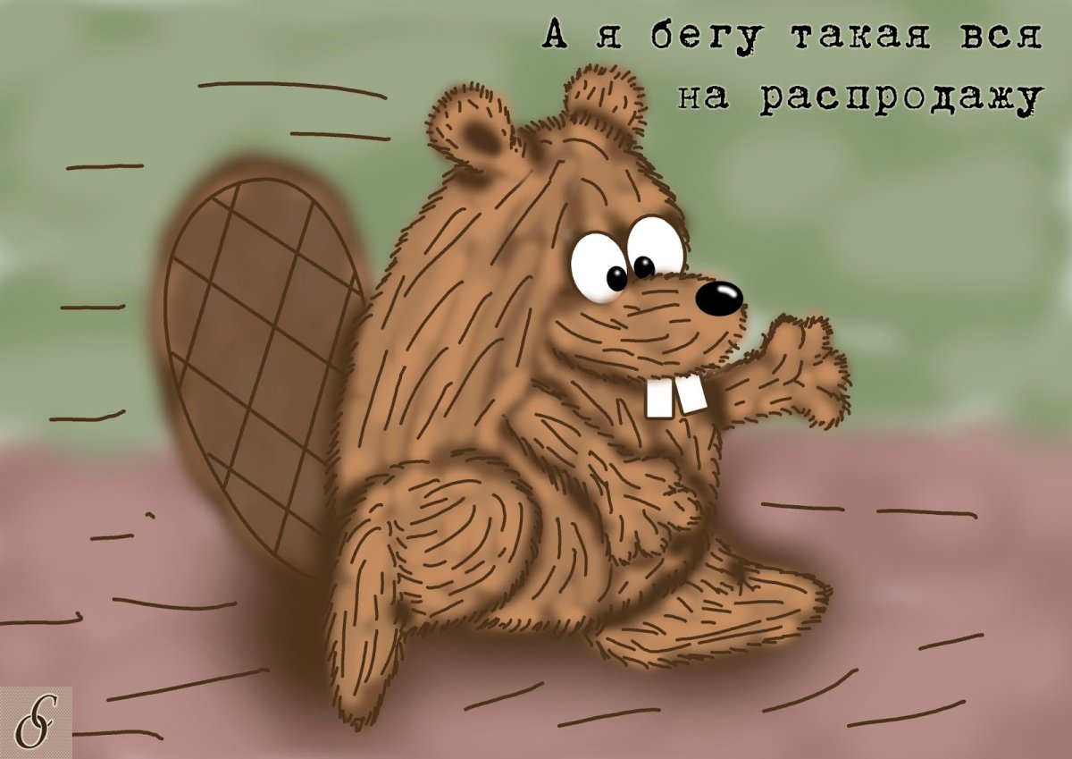 Бегущий Бобр
