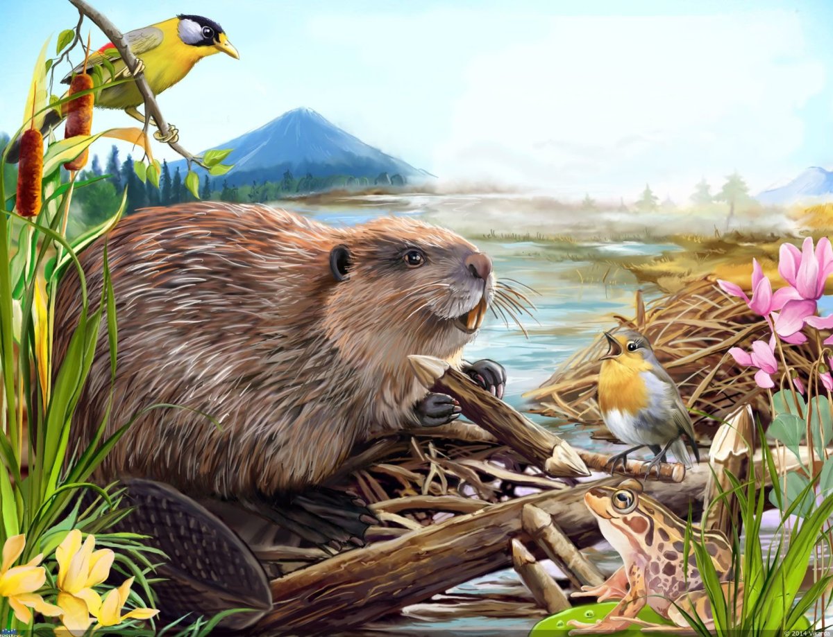 Бобер мультяшный