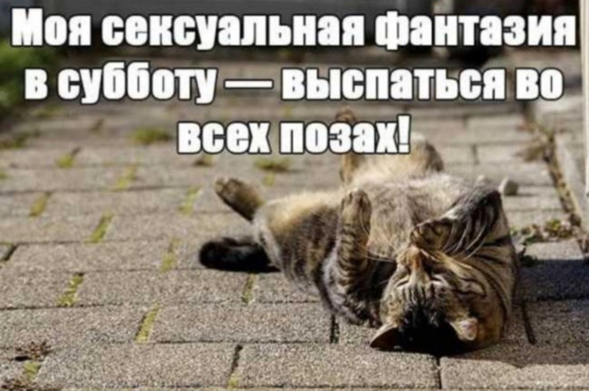 Суббота картинки для поднятия настроения