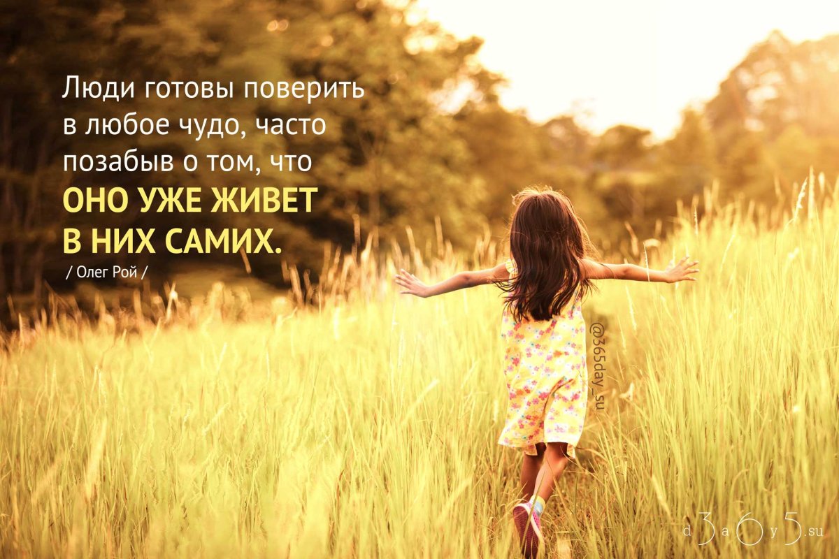 Высказывания о чудесах