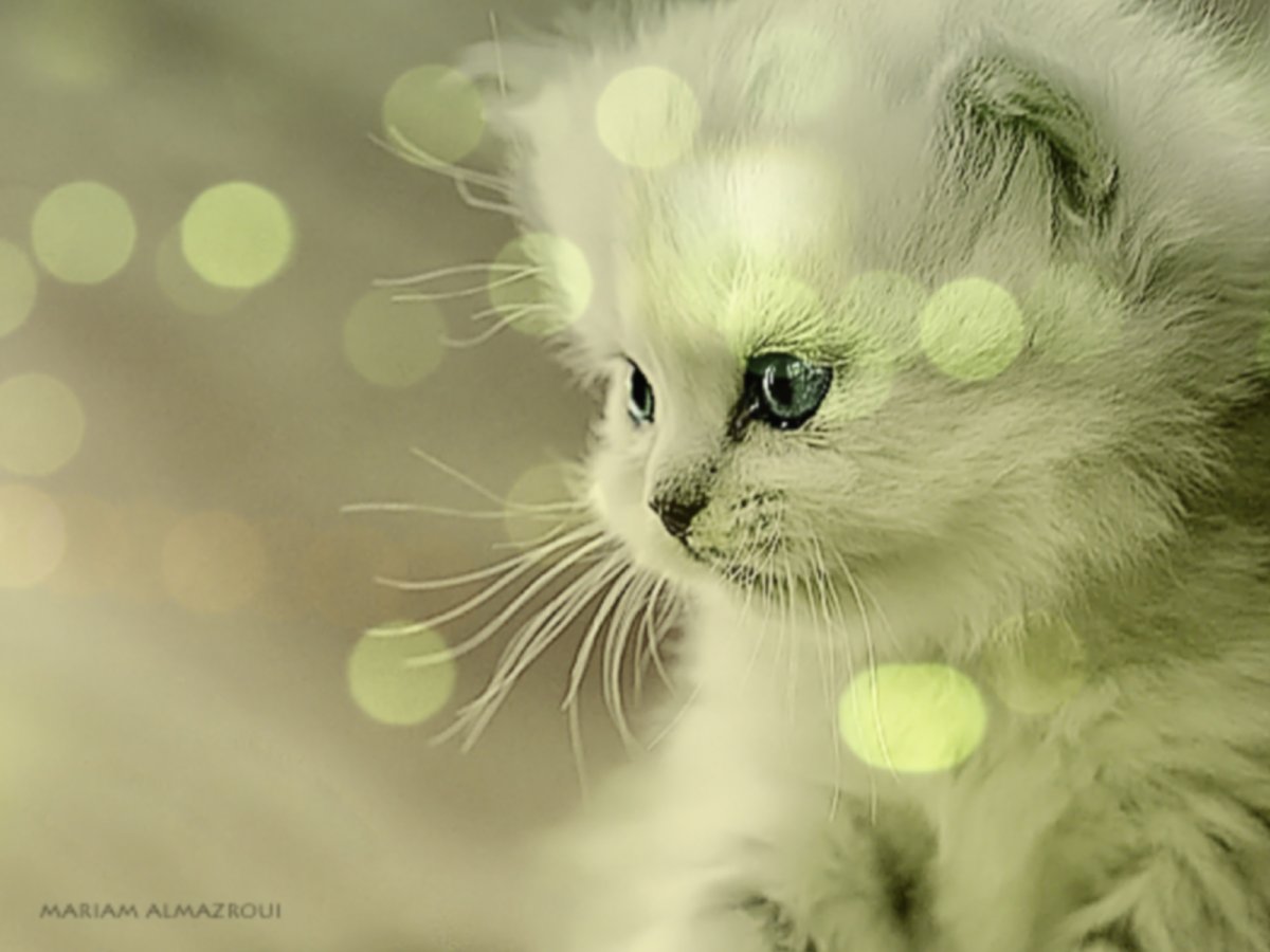 Ты просто чудо