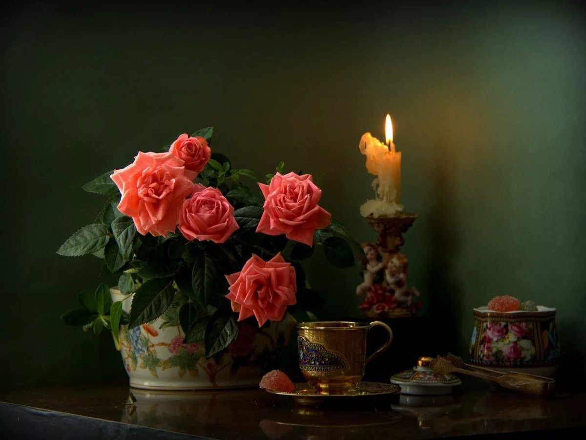 Доброгои ую того вечера