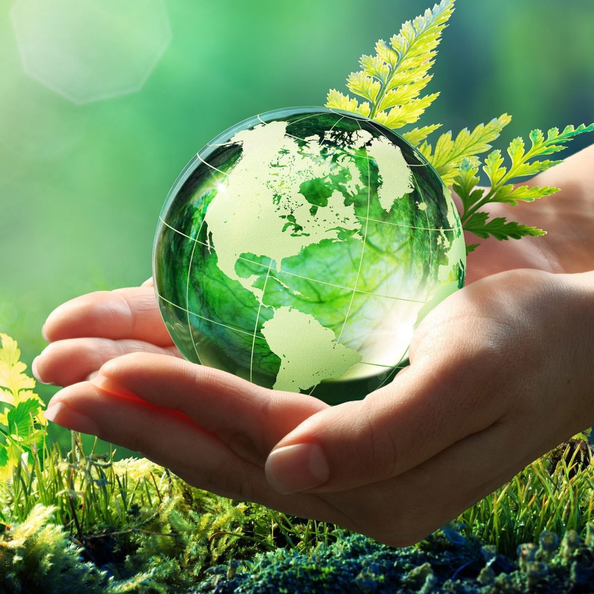 Экология креатив