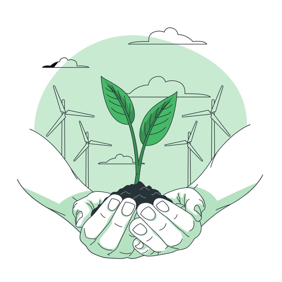 Экология земли