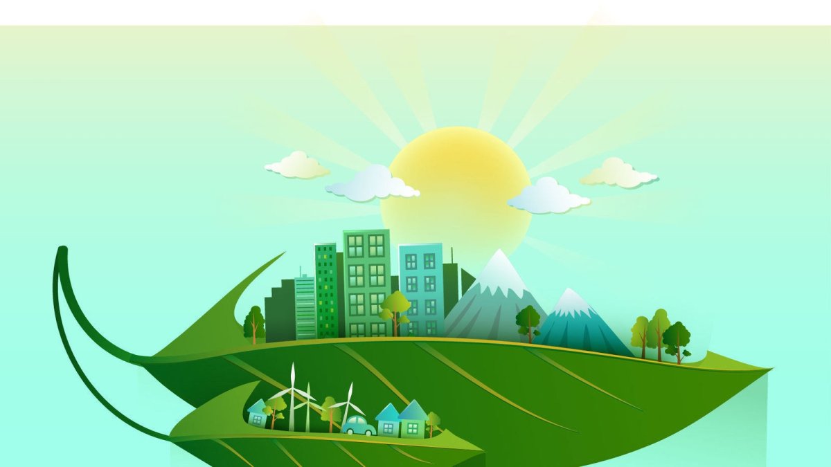 Рамка для летнего коллажа