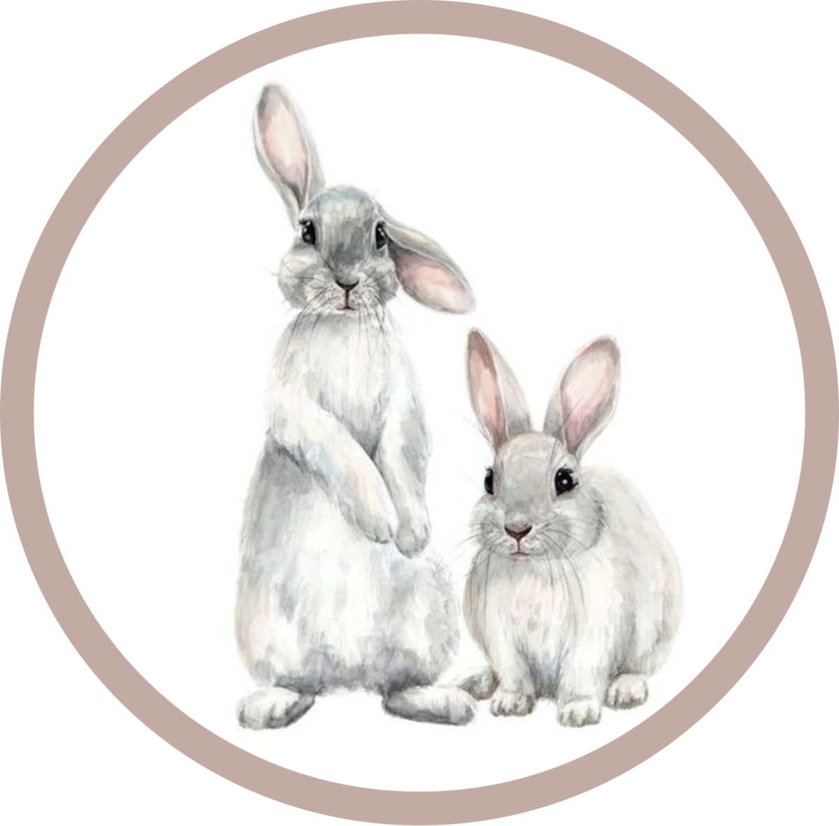 Заяц рисунок