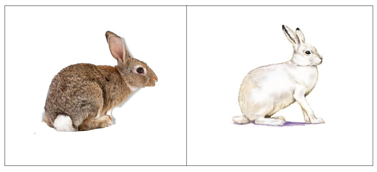 Беатрис Поттер "Питер-кролик"