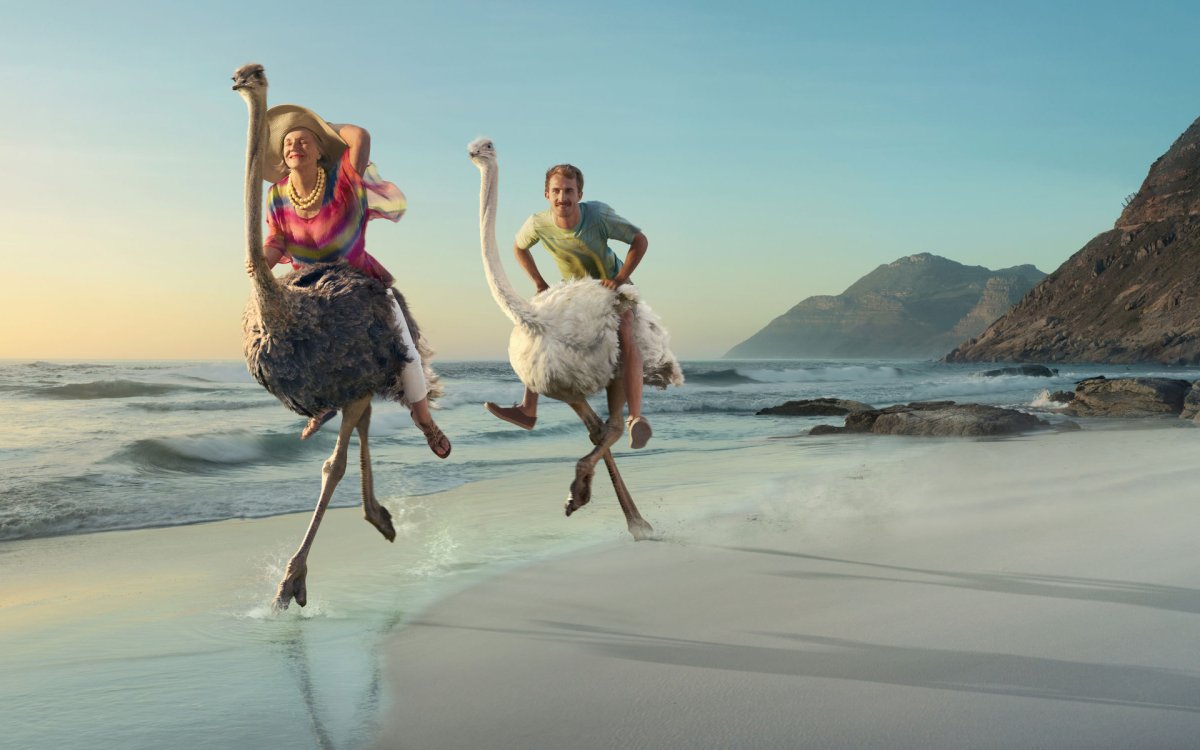 Цитаты про приключения на попу