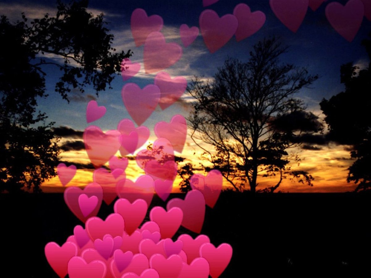 Спокойной ночи Ежик