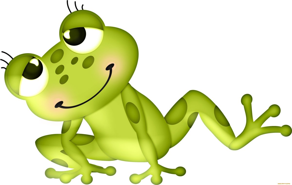 Лягушка рисунок