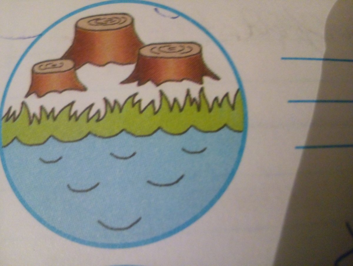 Символы экологических проблем