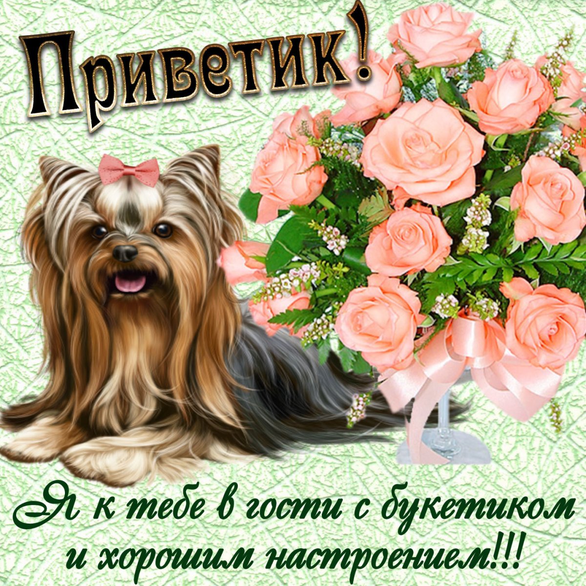 Добрые пожелания с животными