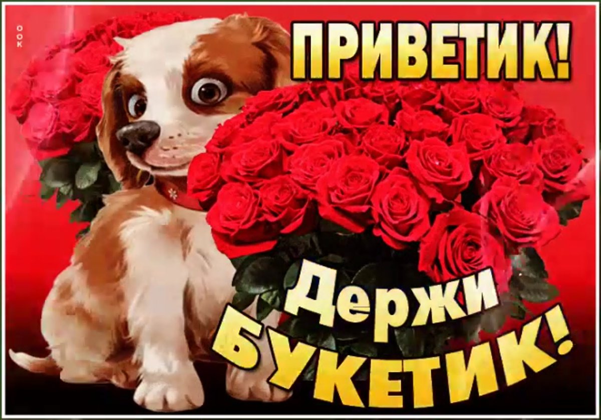 Открытки со средой