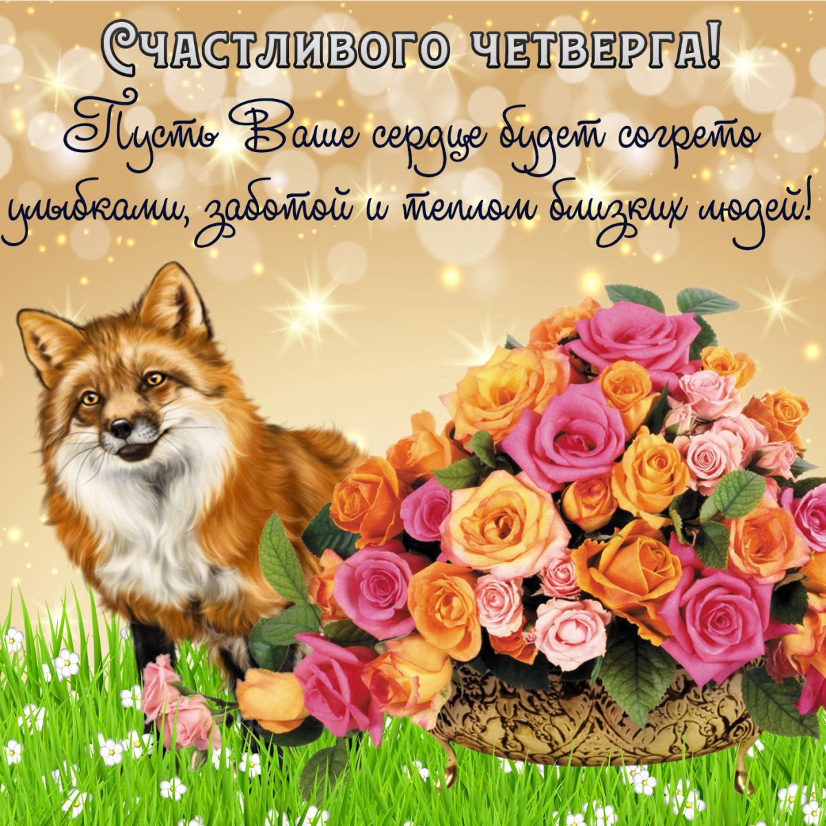 Открытки на каждый день