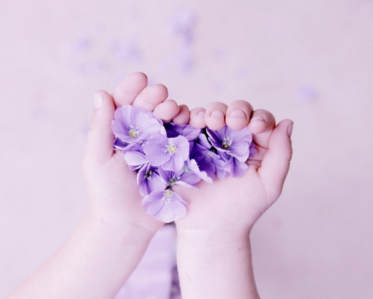 Вечернее море и цветы