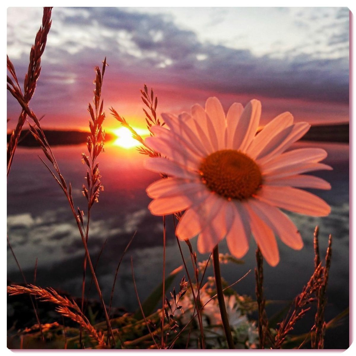 Спасибо за поздравления