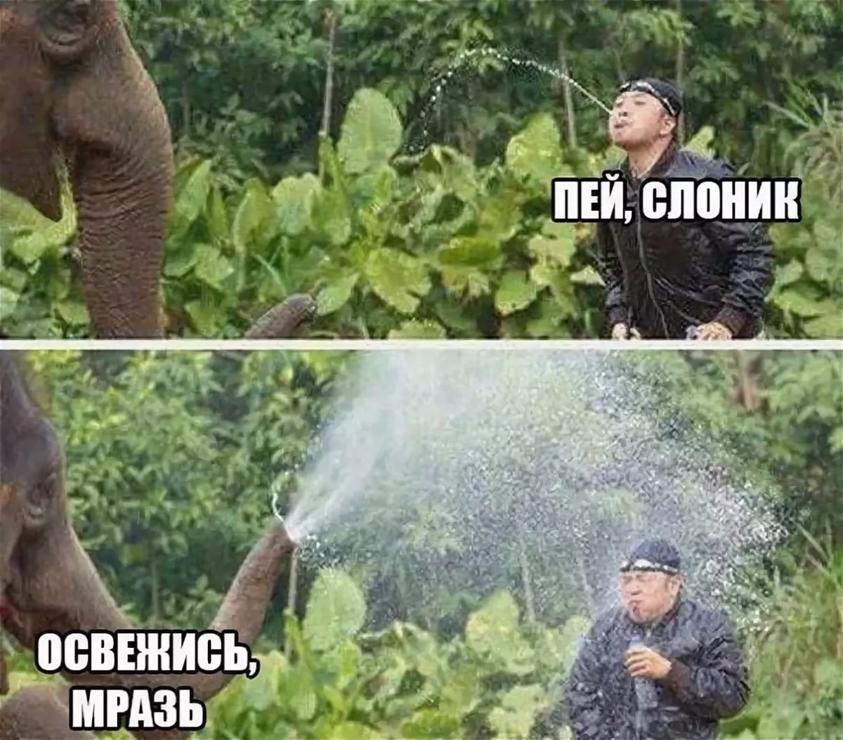 Смешные мемы про школу