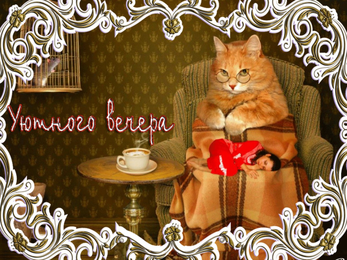 Уютная собака