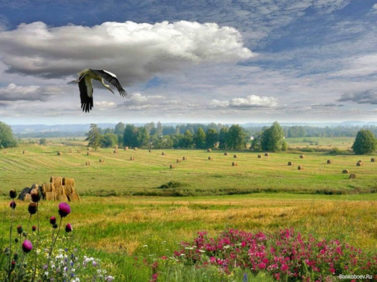 Фотохудожник Игорь Зенин родная земля